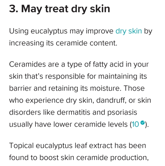 Homemade Eucalyptus Greek Yogurt Organic Soap - Picture 9 of 16